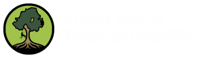 Albert Dallas Tree Surgery